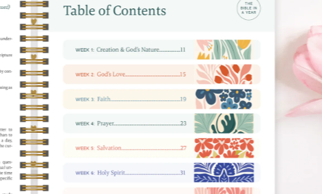 365 Day Faith Planner