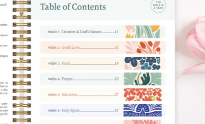 365 Day Faith Planner